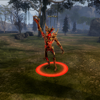 Spine Blight